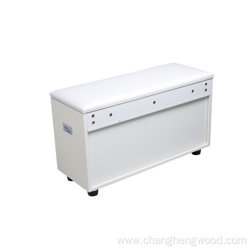 Shoe cabinet with seat cushion and partition